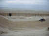 02170023.jpg (59245 octets)
