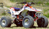250R-3.GIF (94607 octets)