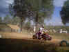 quad_violet.jpg (49333 octets)