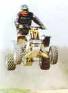 taz_saut_nohant.jpg (32523 octets)